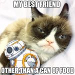 Grumpy Cat Star Wars | MY BEST FRIEND; OTHER THAN A CAN OF FOOD | image tagged in grumpy cat star wars | made w/ Imgflip meme maker