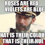 Just another poem by captain obvious  | ROSES ARE RED       VIOLETS ARE BLUE; THAT IS THEIR COLOUR  THAT IS THEIR HUE | image tagged in capt obvious | made w/ Imgflip meme maker