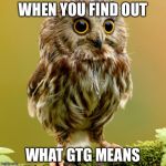 Discovery | WHEN YOU FIND OUT; WHAT GTG MEANS | image tagged in discovery | made w/ Imgflip meme maker
