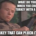 Deliverance Banjo | WHAT DO YOU GET WHEN YOU CROSS A TURKEY WITH A BANJO; A TURKEY THAT CAN PLUCK ITSELF | image tagged in deliverance banjo | made w/ Imgflip meme maker