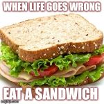 When life goes wrong | WHEN LIFE GOES WRONG; EAT A SANDWICH | image tagged in sandwich | made w/ Imgflip meme maker