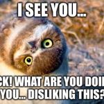 Mem | I SEE YOU... WAIT, ECK! WHAT ARE YOU DOING?
ARE YOU... DISLIKING THIS? | image tagged in mem | made w/ Imgflip meme maker