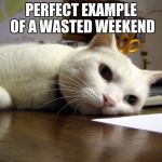 Annoyed tired bored cat  | PERFECT EXAMPLE OF A WASTED WEEKEND | image tagged in annoyed tired bored cat | made w/ Imgflip meme maker