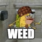 Stoner Spongegar | WEED | image tagged in stoner spongegar,scumbag | made w/ Imgflip meme maker