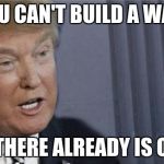 Roll safe Trump edition | YOU CAN'T BUILD A WALL; IF THERE ALREADY IS ONE | image tagged in roll safe trump edition | made w/ Imgflip meme maker