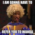 Wanda | I AM GONNA HAVE TO; REFER YOU TO WANDA | image tagged in wanda | made w/ Imgflip meme maker