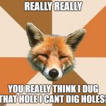 Condescending Fox | REALLY REALLY; YOU REALLY THINK I DUG THAT HOLE I CANT DIG HOLES? | image tagged in condescending fox | made w/ Imgflip meme maker