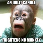 Scared Monkey | AN UNLIT CANDLE; FRIGHTENS NO MONKEY | image tagged in scared monkey | made w/ Imgflip meme maker