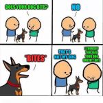in the fourth box, read the green first, then the blue | NO; DOES YOUR DOG BITE? THAT'S NOT MY DOG; I THOUGHT YOU SAID YOUR DOG DOESN'T BITE; *BITES* | image tagged in does your dog bite,dog | made w/ Imgflip meme maker