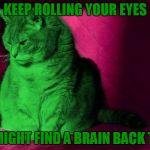 Cantankerous RayCat | KEEP ROLLING YOUR EYES; YOU MIGHT FIND A BRAIN BACK THERE | image tagged in cantankerous raycat,memes | made w/ Imgflip meme maker