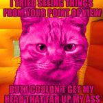 Dissatisfied RayCat | I TRIED SEEING THINGS FROM YOUR POINT OF VIEW; BUT I COULDN'T GET MY HEAD THAT FAR UP MY ASS | image tagged in dissat raycat,memes | made w/ Imgflip meme maker