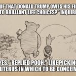 Pooh and Piglet | " IS IT TRUE THAT DONALD TRUMP OWES HIS FINANCIAL SUCCESS TO BRILLIANT LIFE CHOICES?" INQUIRED PIGLET. "YES," REPLIED POOH," LIKE PICKING THE UTERUS IN WHICH TO BE CONCEIVED." | image tagged in pooh and piglet | made w/ Imgflip meme maker