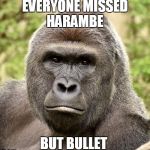 Har | EVERYONE MISSED HARAMBE; BUT BULLET | image tagged in har | made w/ Imgflip meme maker
