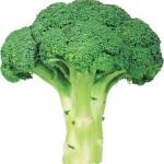 Broccoli