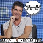 Smug person | YOU SOUND LIKE A DYING CAT; "AMAZING, JUST AMAZING!" | image tagged in smug person | made w/ Imgflip meme maker