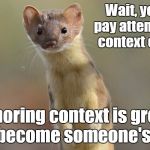 You stupid?weasel | Wait, you didn't pay attention to the context clues!!??! Ignoring context is great way to become someone's dinner! | image tagged in you stupidweasel | made w/ Imgflip meme maker