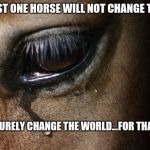 Horse | SAVING JUST ONE HORSE WILL NOT CHANGE THE WORLD, BUT IT WILL SURELY CHANGE THE WORLD...FOR THAT ONE HORSE. | image tagged in horse | made w/ Imgflip meme maker