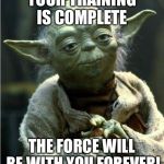 Jedi Master Yoda | YOUR TRAINING IS COMPLETE; THE FORCE WILL BE WITH YOU FOREVER! | image tagged in jedi master yoda | made w/ Imgflip meme maker