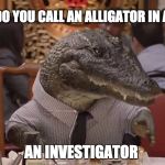 Geico Alligator Arms | WHAT DO YOU CALL AN ALLIGATOR IN A VEST? AN INVESTIGATOR | image tagged in geico alligator arms | made w/ Imgflip meme maker