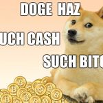 Doge Coin | DOGE  HAZ; MUCH CASH; SUCH BITCOIN | image tagged in doge coin | made w/ Imgflip meme maker
