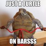 Saw Turtle  | JUST A TURTLE; ON BARSSS | image tagged in saw turtle | made w/ Imgflip meme maker