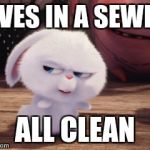 Secret Life of Pets - Snowball #3 | LIVES IN A SEWER; ALL CLEAN | image tagged in secret life of pets - snowball 3 | made w/ Imgflip meme maker