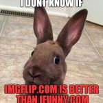 confuzed bunny | I DONT KNOW IF; IMGFLIP.COM IS BETTER THAN IFUNNY.COM | image tagged in confuzed bunny | made w/ Imgflip meme maker