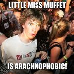 Send in Captain Obvious.  | LITTLE MISS MUFFET; IS ARACHNOPHOBIC! | image tagged in sudden clarity clarence large,memes,little miss muffet,nursery rhymes,arachnophobia,spiders | made w/ Imgflip meme maker