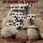 Animals Hugging | OF COURSE WE WEREN'T; TALKING ABOUT YOU. | image tagged in animals hugging | made w/ Imgflip meme maker