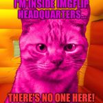 RayCat Without A Cause | I'M INSIDE IMGFLIP HEADQUARTERS... THERE'S NO ONE HERE! | image tagged in dissat raycat,nsfw weekend,not safe for featuring,memes,stealth mode tags | made w/ Imgflip meme maker