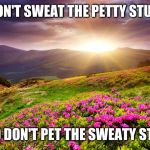 Don't sweat it yo... or pet it!  | DON'T SWEAT THE PETTY STUFF; AND DON'T PET THE SWEATY STUFF | image tagged in field of flowers | made w/ Imgflip meme maker