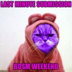Sullen RayCat | LAST MINUTE SUBMISSION; BDSM WEEKEND | image tagged in sullen raycat,nsfw weekend,memes | made w/ Imgflip meme maker