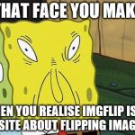 That face you make spongebob | THAT FACE YOU MAKE; WHEN YOU REALISE IMGFLIP ISN'T A SITE ABOUT FLIPPING IMAGES | image tagged in spongebob,that face you make | made w/ Imgflip meme maker