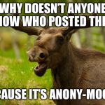 Anonymous Meme Week - Nov 20-27 - A ? Event | WHY DOESN’T ANYONE KNOW WHO POSTED THIS? BECAUSE IT’S ANONY-MOOSE | image tagged in bad pun moose,anonymous meme week | made w/ Imgflip meme maker