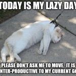 Lazy Cat | TODAY IS MY LAZY DAY; PLEASE DON'T ASK ME TO MOVE.  IT IS COUNTER-PRODUCTIVE TO MY CURRENT GOALS. | image tagged in lazy cat | made w/ Imgflip meme maker