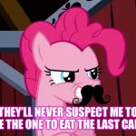 Pinkie Pie Support | THEY’LL NEVER SUSPECT ME TO BE THE ONE TO EAT THE LAST CAKE | image tagged in pinkie pie support | made w/ Imgflip meme maker