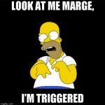 Homer Simpson Retarded | LOOK AT ME MARGE, I'M TRIGGERED | image tagged in homer simpson retarded | made w/ Imgflip meme maker