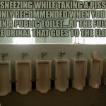 Urinals | SNEEZING WHILE TAKING A PISS IS ONLY RECOMMENDED WHEN YOU ARE IN A PUBLIC TOILET....AT THE FULL SIZE URINAL THAT GOES TO THE FLOOR. | image tagged in urinals,bathroom humor,funny,funny memes,memes | made w/ Imgflip meme maker