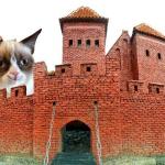 castle grumpy cat 