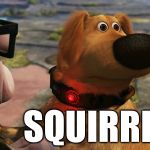 up! squirrel dog | SQUIRREL!!! | image tagged in up squirrel dog | made w/ Imgflip meme maker