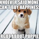 Cute puppy 1 | WHOEVER SAID MONEY CAN'T BUY HAPPINESS; FORGOT ABOUT PUPPIES! | image tagged in cute puppy 1 | made w/ Imgflip meme maker
