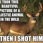 Big Buck | I TOOK THIS BEAUTIFUL PICTURE OF A MAJESTIC ANIMAL IN THE WILD; THEN I SHOT HIM | image tagged in big buck | made w/ Imgflip meme maker