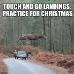 Reindeer  | TOUCH AND GO LANDINGS, PRACTICE FOR CHRISTMAS | image tagged in reindeer | made w/ Imgflip meme maker