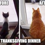 fat cats | BEFORE                                       AFTER; THANKSGIVING DINNER | image tagged in fat cats | made w/ Imgflip meme maker