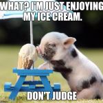 Pig Ice Cream | WHAT? I'M JUST ENJOYING MY ICE CREAM. DON'T JUDGE | image tagged in pig ice cream | made w/ Imgflip meme maker