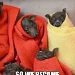 burrito dog | WE LIKED BURRITOS; SO WE BECAME BURRITOS | image tagged in burrito dog | made w/ Imgflip meme maker