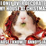 christmas | I ONLY OVER DECORATE MY HOUSE AT CHISTMAS; BECAUSE I KNOW IT ANNOYS JAMIE | image tagged in christmas | made w/ Imgflip meme maker
