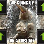 Upvote Elephant | WE GOING UP; ON A TUESDAY | image tagged in upvote elephant | made w/ Imgflip meme maker