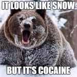 Cocaine bear | IT LOOKS LIKE SNOW; BUT IT'S COCAINE | image tagged in memes,cocaine | made w/ Imgflip meme maker