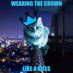 RayCat Wears The Crown | WEARING THE CROWN; LIKE A BOSS | image tagged in raycat wears the crown,hd picture,memes,raycat | made w/ Imgflip meme maker